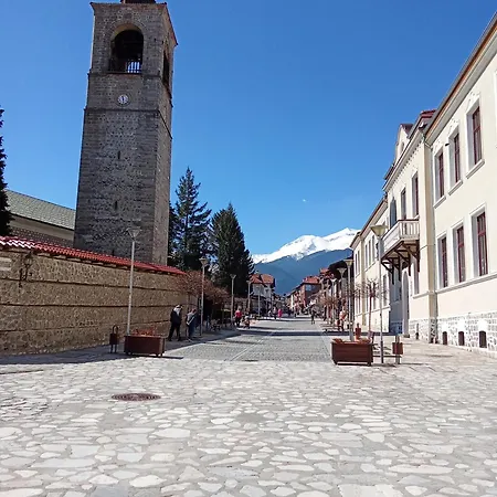 شقة Sunny Terrace, Pirin Views, Art And Books *